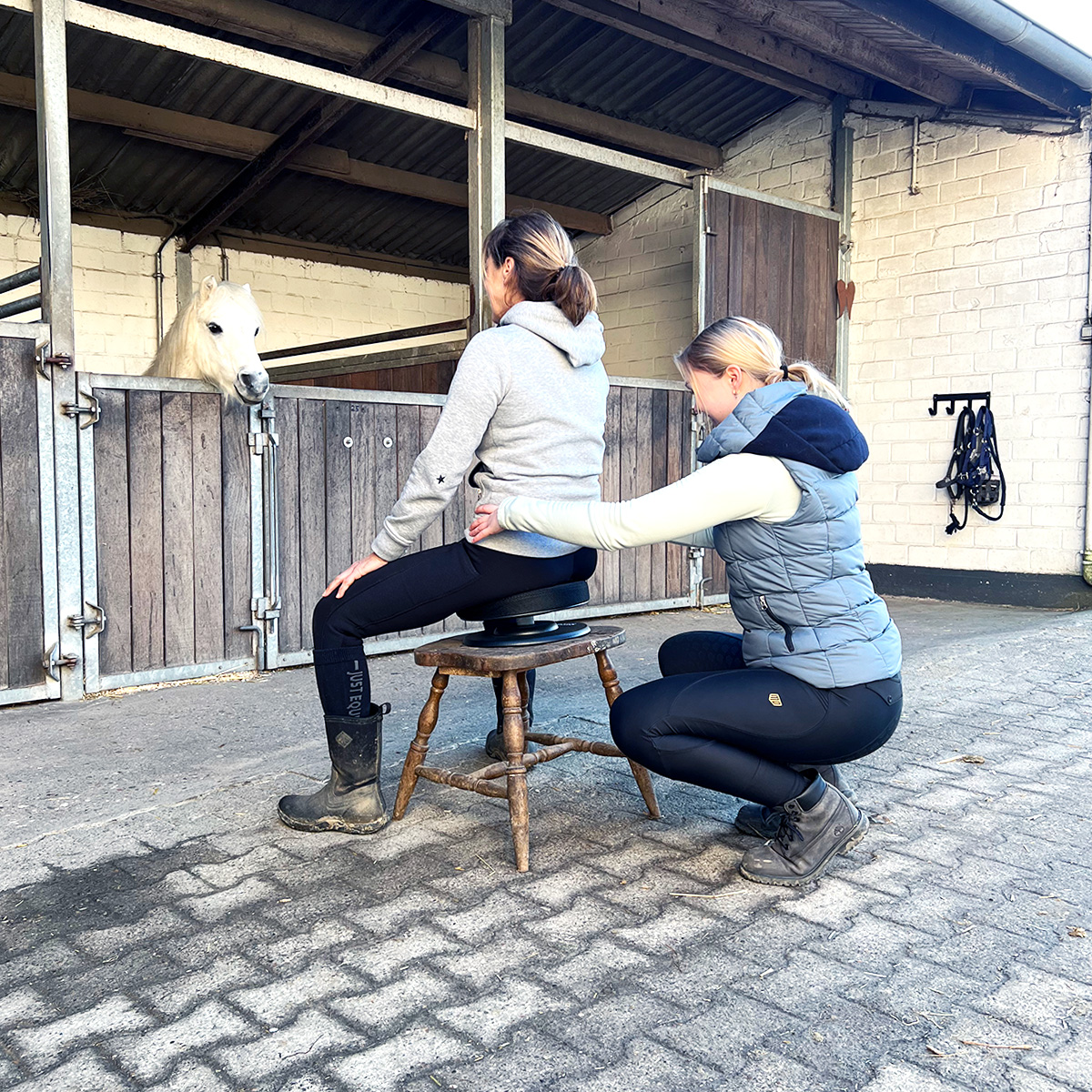 Ablauf eines Termins - Miriam Jarolim - Physiotherapeutin für Pferd und Reiter