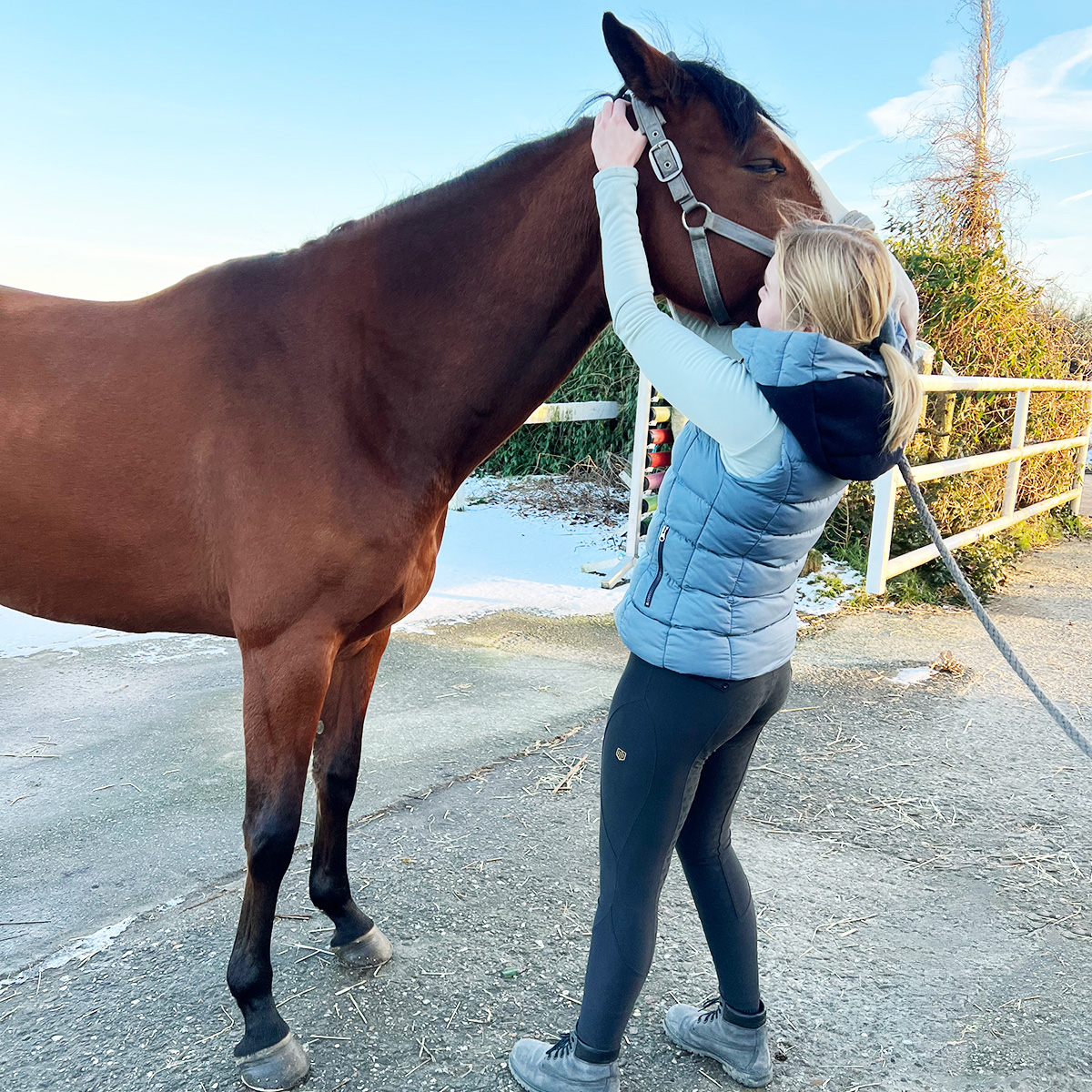 Leistungen - Miriam Jarolim - Physiotherapeutin für Pferd und Reiter