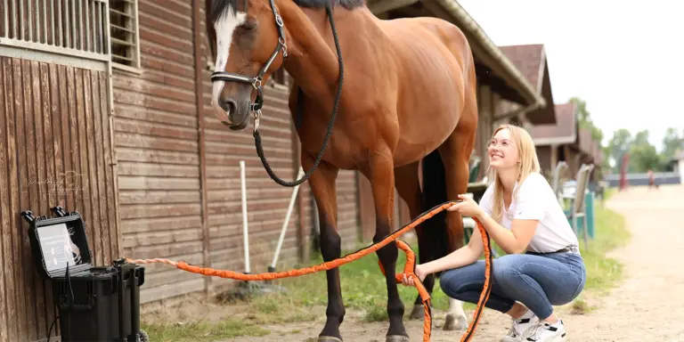 Unterstütze die Heilung deines Pferdes – mit VET-MAG Magnetfeldtherapie
